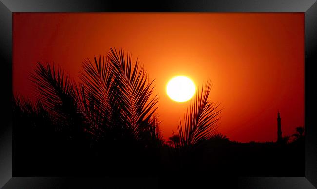  Sunsets over the Nile Framed Print by Charlotte Moon