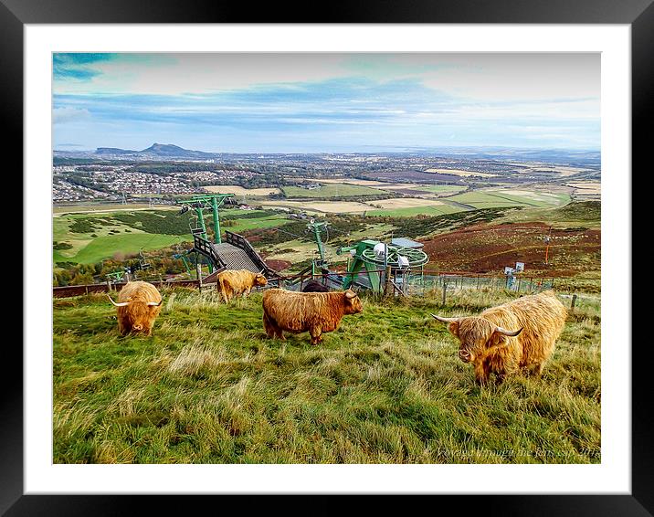  Coos with a view Framed Mounted Print by Paul Masterton