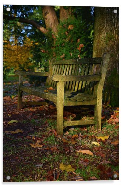 Wooden bench in autumn with maple trees  Acrylic by Jonathan Evans