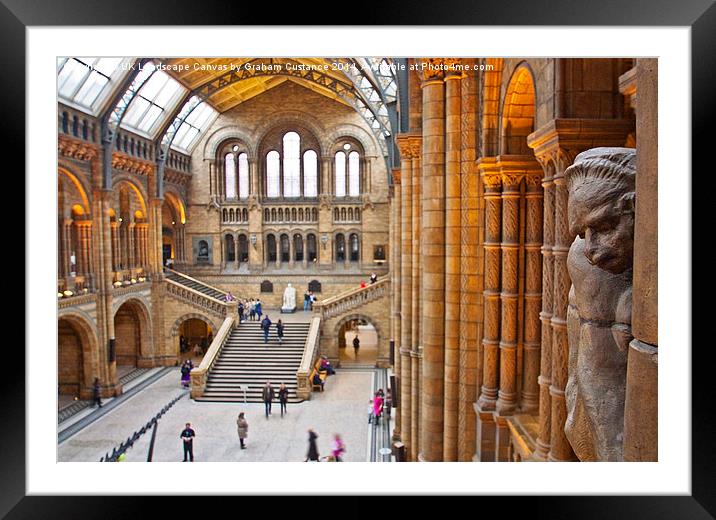  Natural History Museum Framed Mounted Print by Graham Custance