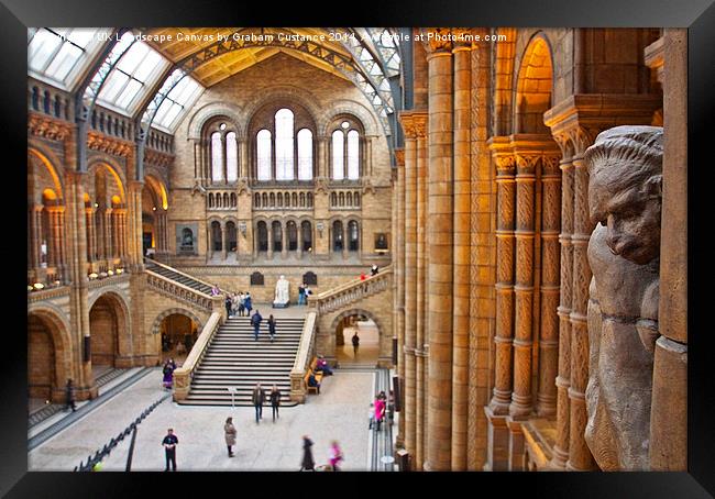   Natural History Museum Framed Print by Graham Custance