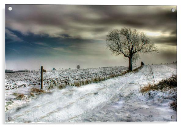  Winters Evening Acrylic by Martin Parkinson