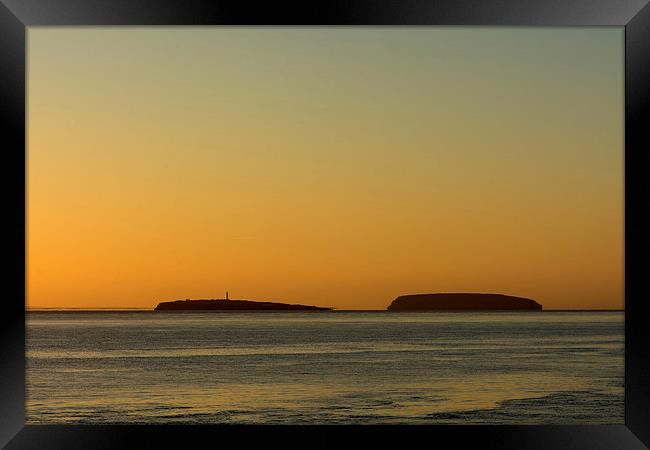  The Holme Islands sunrise Framed Print by Andrew Richards