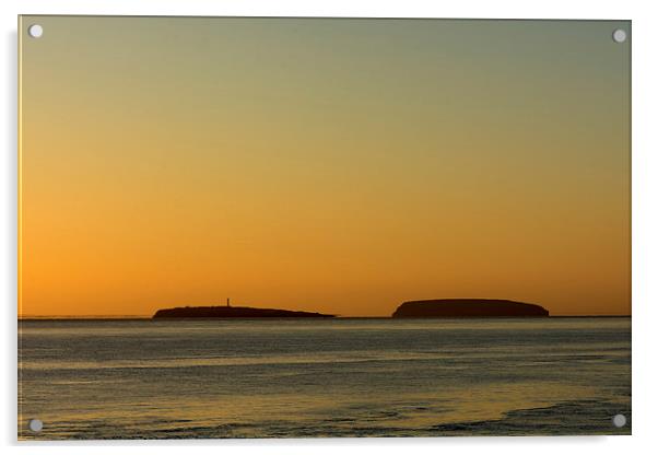  The Holme Islands sunrise Acrylic by Andrew Richards