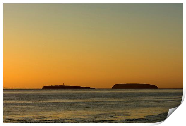  The Holme Islands sunrise Print by Andrew Richards