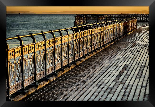  Golden railings Framed Print by Andrew Richards