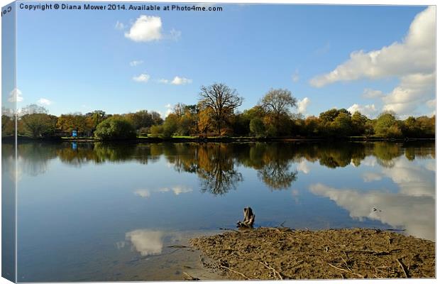 Hatfield Forest Lake  Canvas Print by Diana Mower