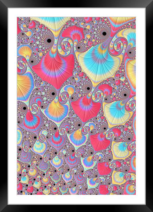 Candy Shells Framed Mounted Print by Steve Purnell