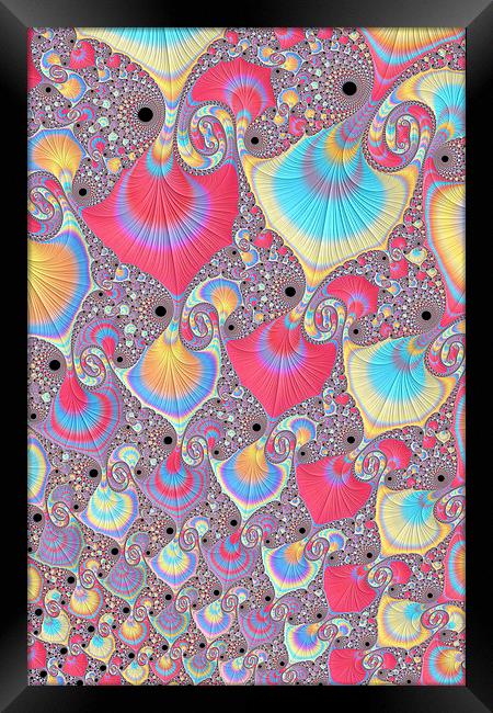 Candy Shells Framed Print by Steve Purnell