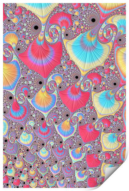 Candy Shells Print by Steve Purnell