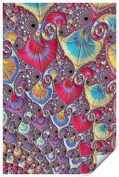 Candy Shells 2 Print by Steve Purnell