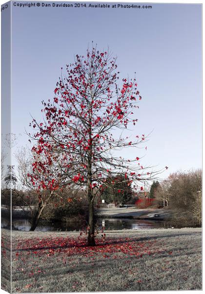  Red Tree Emerson Valley Canvas Print by Dan Davidson