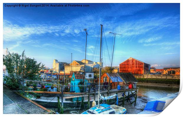  The House Boat Print by Nigel Bangert