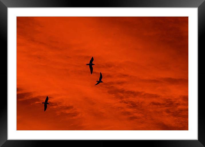  Red Sky in the Morning Framed Mounted Print by Bob Small