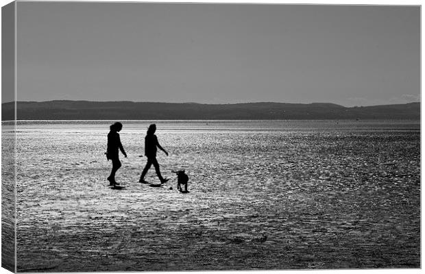 Walking the Dog Canvas Print by Andy Heap
