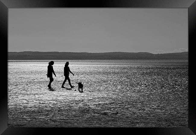 Walking the Dog Framed Print by Andy Heap