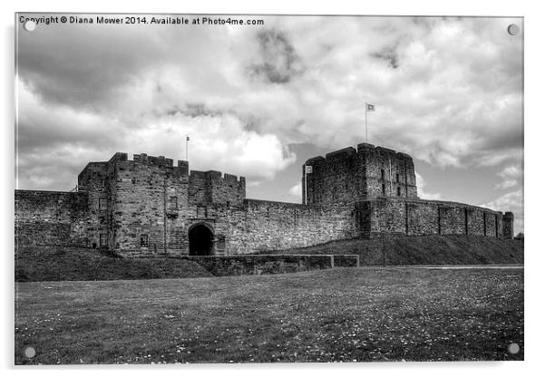 Carlisle Castle  Acrylic by Diana Mower