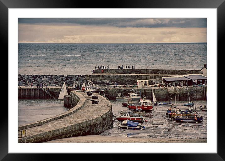  Lyme Harbour.  Framed Mounted Print by Mark Godden