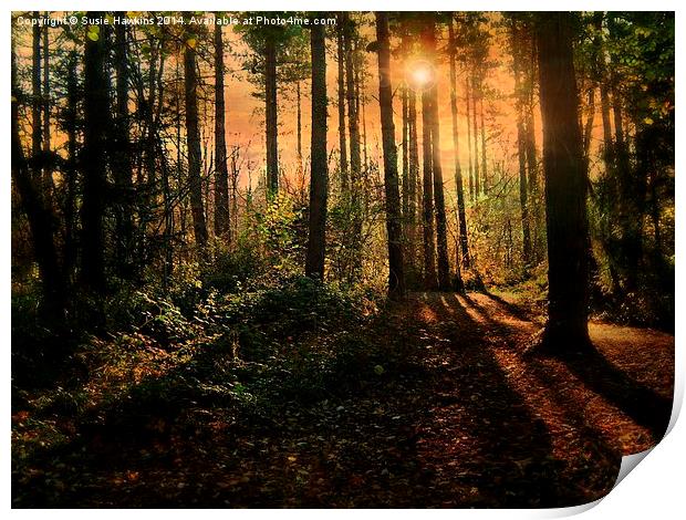  Sunset at Leigh Woods Print by Susie Hawkins