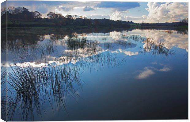  Tranquil reflections Canvas Print by Stephen Prosser
