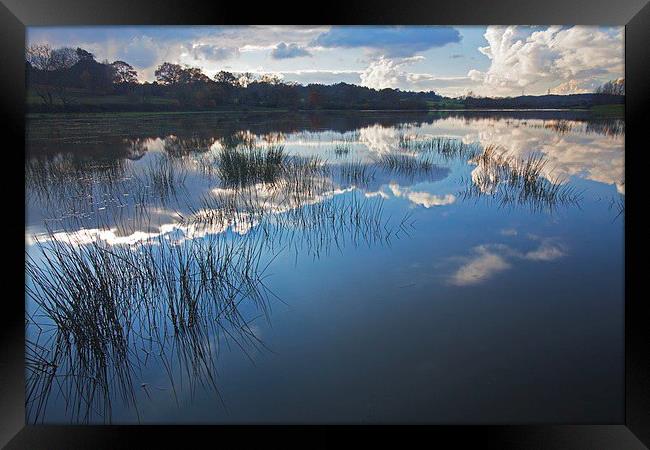  Tranquil reflections Framed Print by Stephen Prosser