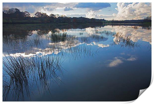  Tranquil reflections Print by Stephen Prosser