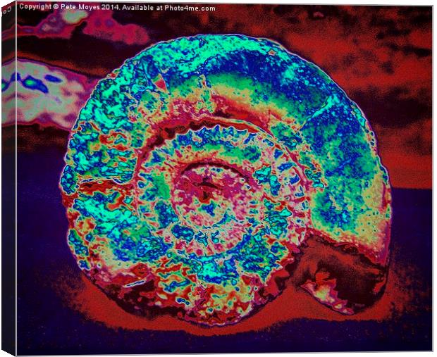 Abstract Ammonite   Canvas Print by Pete Moyes