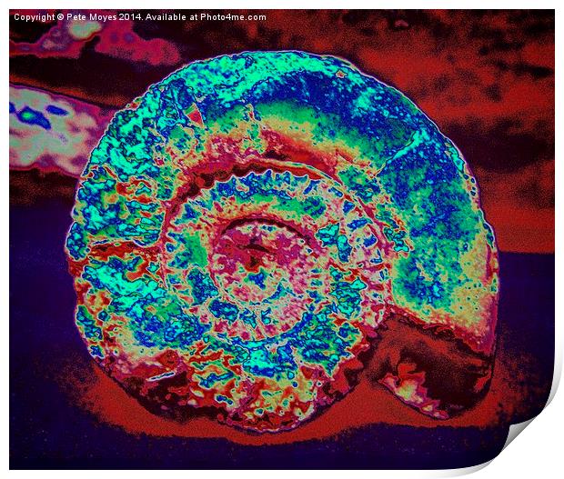 Abstract Ammonite   Print by Pete Moyes