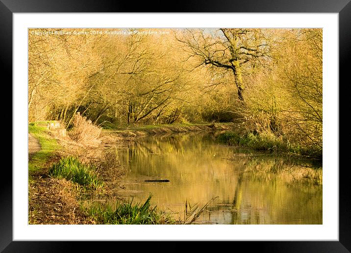  Golden Hour on the Grantham Canal Framed Mounted Print by Brian Garner