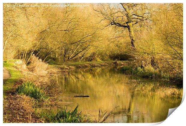  Golden Hour on the Grantham Canal Print by Brian Garner