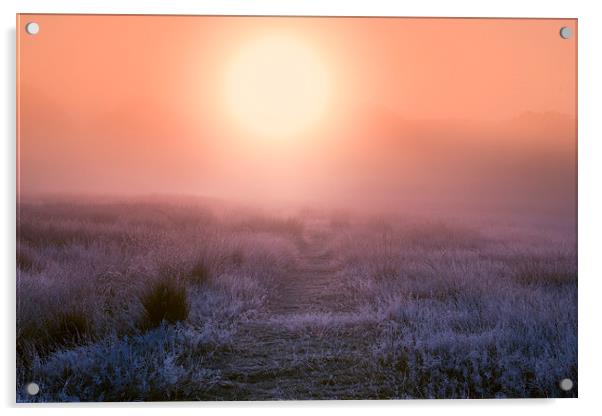 Misty morning! Acrylic by Inguna Plume