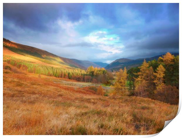  highland landscape     Print by dale rys (LP)
