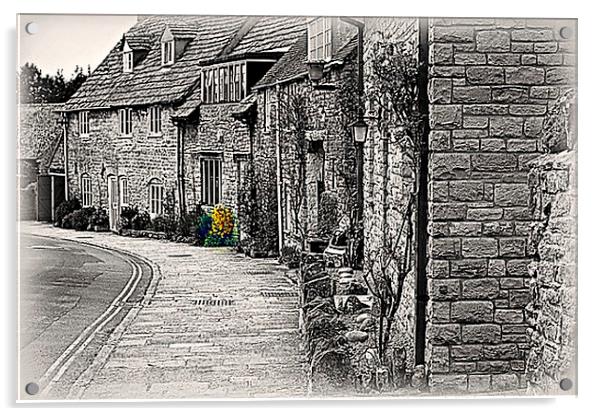  Corfe Cottages Acrylic by Pauline Simmonds