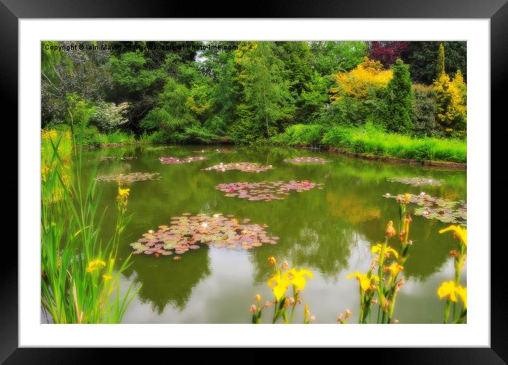  Impressions of Monet Framed Mounted Print by Iain Mavin