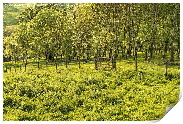  England's Green and Pleaseant Land Print by Pauline Tims