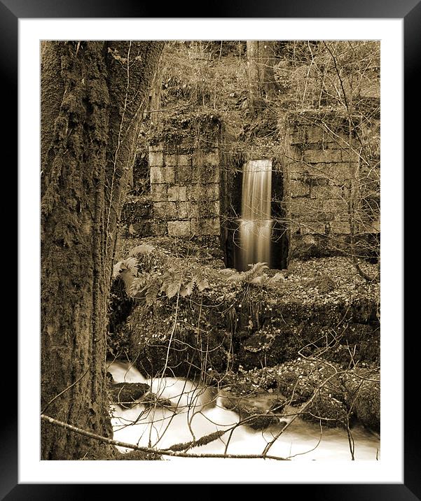 Enchanted Framed Mounted Print by allen martin