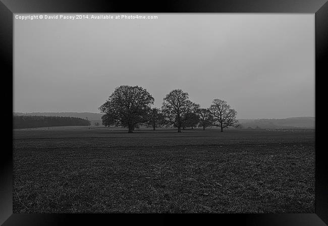  Hazy Morning Framed Print by David Pacey