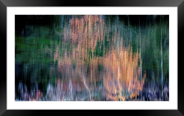  Nature's Fire Framed Mounted Print by Mike Janik