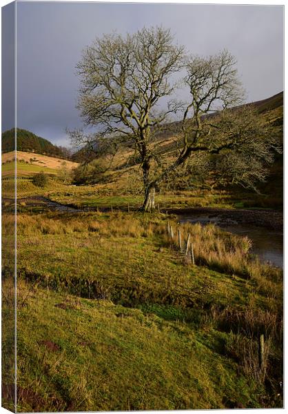 Brecon Beacons in some winter sunshine Canvas Print by Jonathan Evans