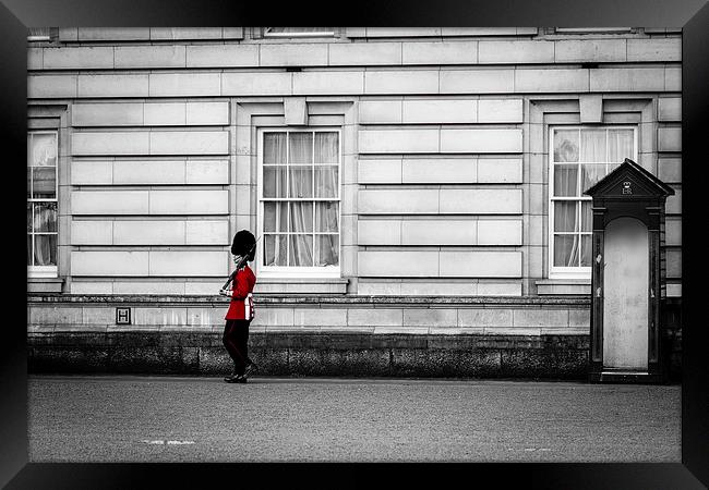  Stretching the legs Framed Print by Paul Sharp