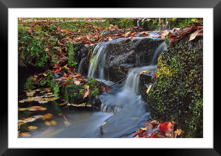  Fall waters, autumn leaves swirl in this pictures Framed Mounted Print by James Tully