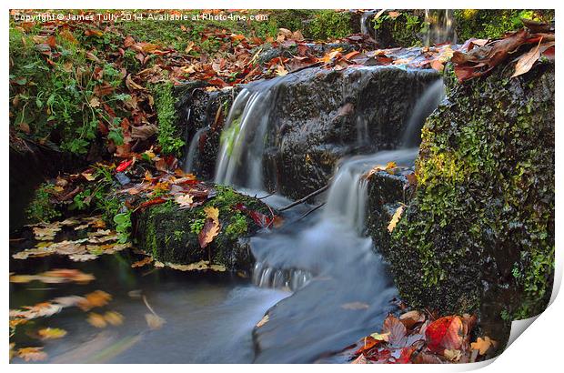  Fall waters, autumn leaves swirl in this pictures Print by James Tully