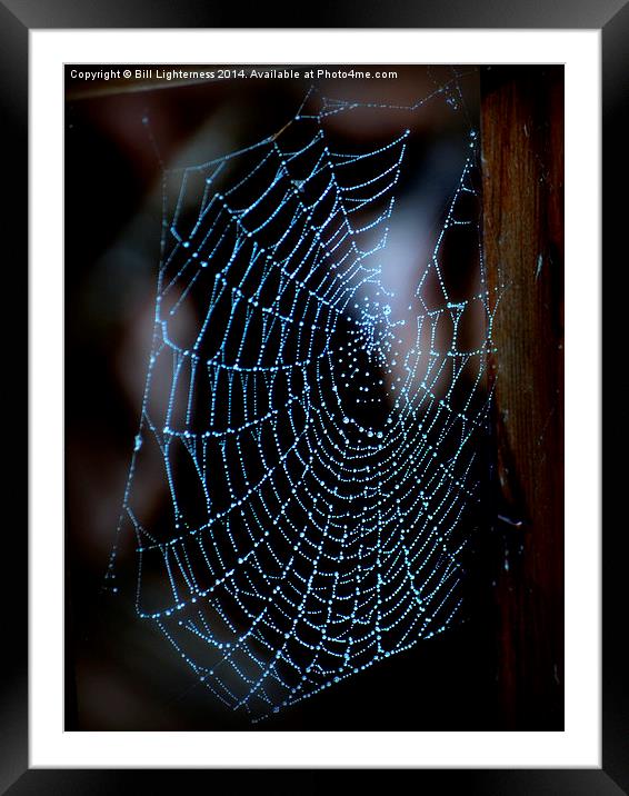  Droplets on the Spiders Web Framed Mounted Print by Bill Lighterness