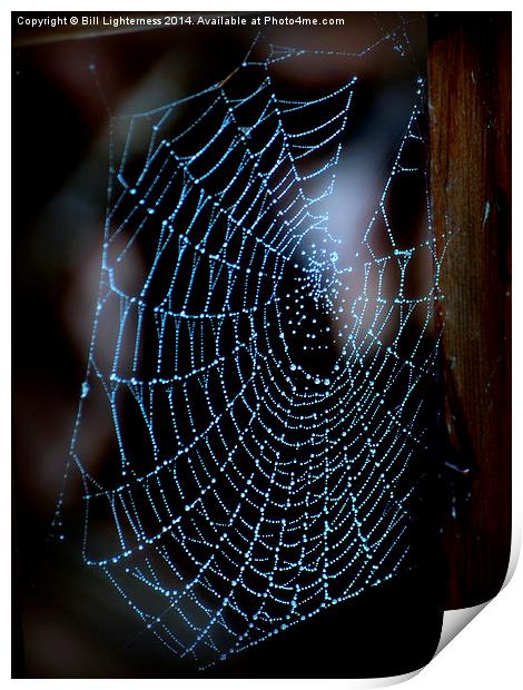  Droplets on the Spiders Web Print by Bill Lighterness