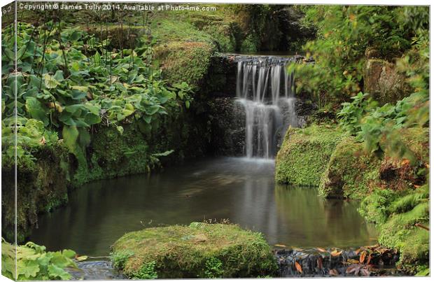  Garden falls, a small but picturesque garden wate Canvas Print by James Tully