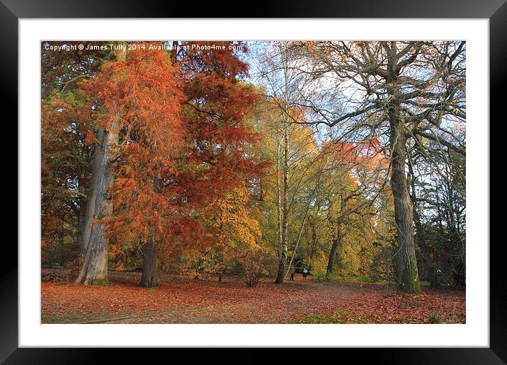  The albana walk, a kaleidoscope of colours Framed Mounted Print by James Tully