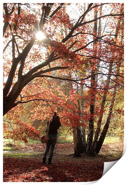  The perfect autumn capture, shooting the sun Print by James Tully