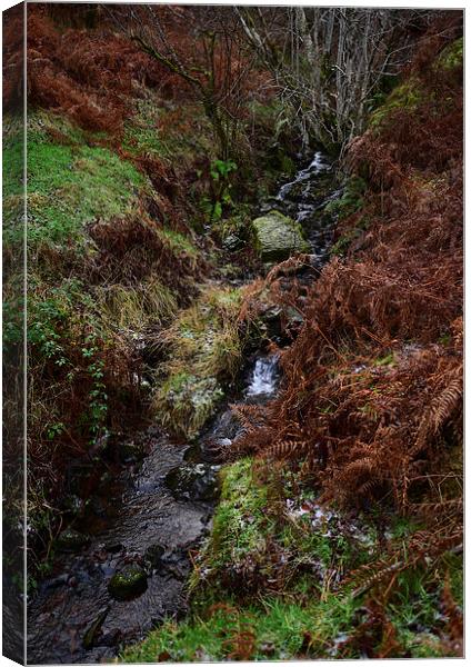 Brecon Beacons mountain stream  Canvas Print by Jonathan Evans