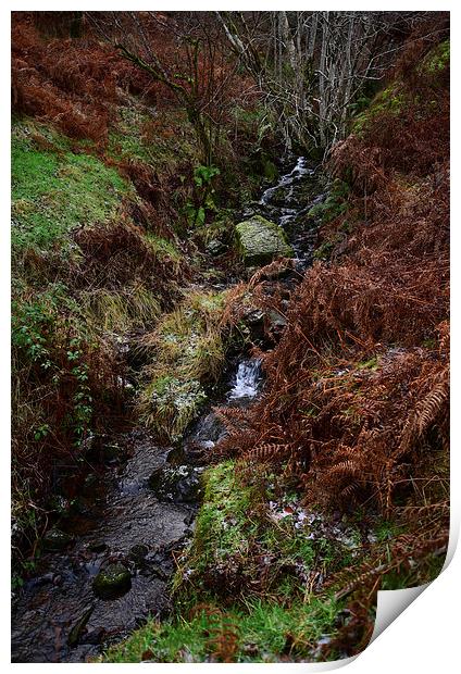 Brecon Beacons mountain stream  Print by Jonathan Evans