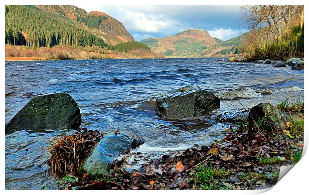  highland landscape     Print by dale rys (LP)